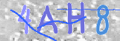 CAPTCHA-Bild