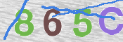 CAPTCHA-Bild