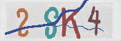 CAPTCHA-Bild