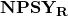 \bf NPSY_R